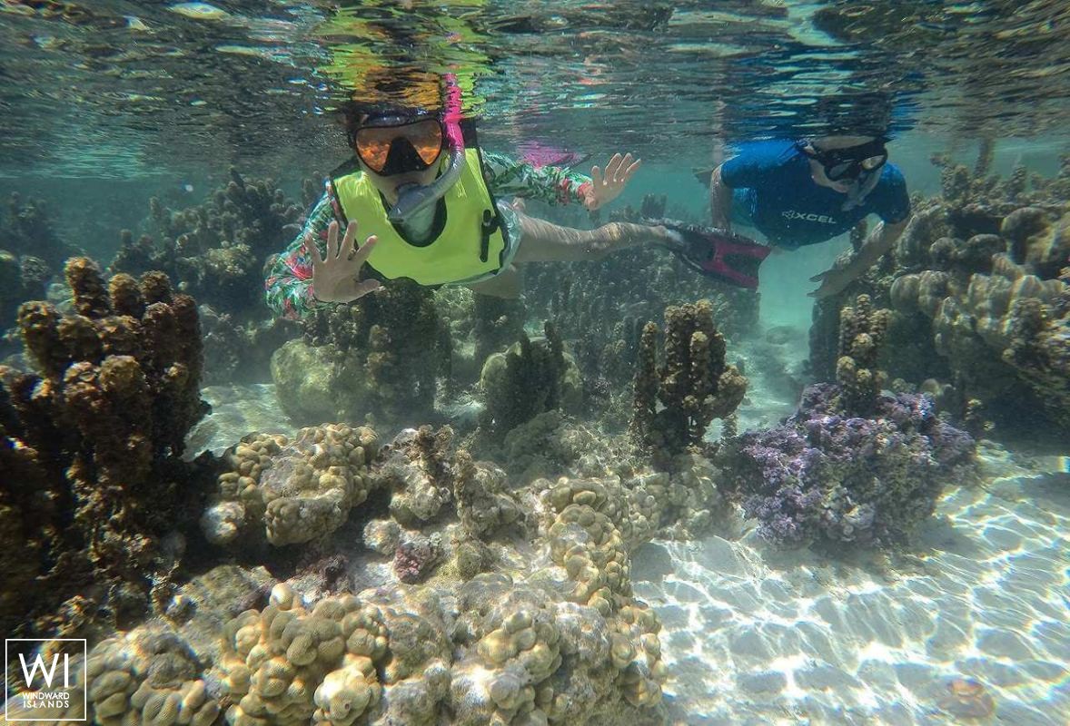 ORION  Sunreef Yachts Sail 74' Interior 16