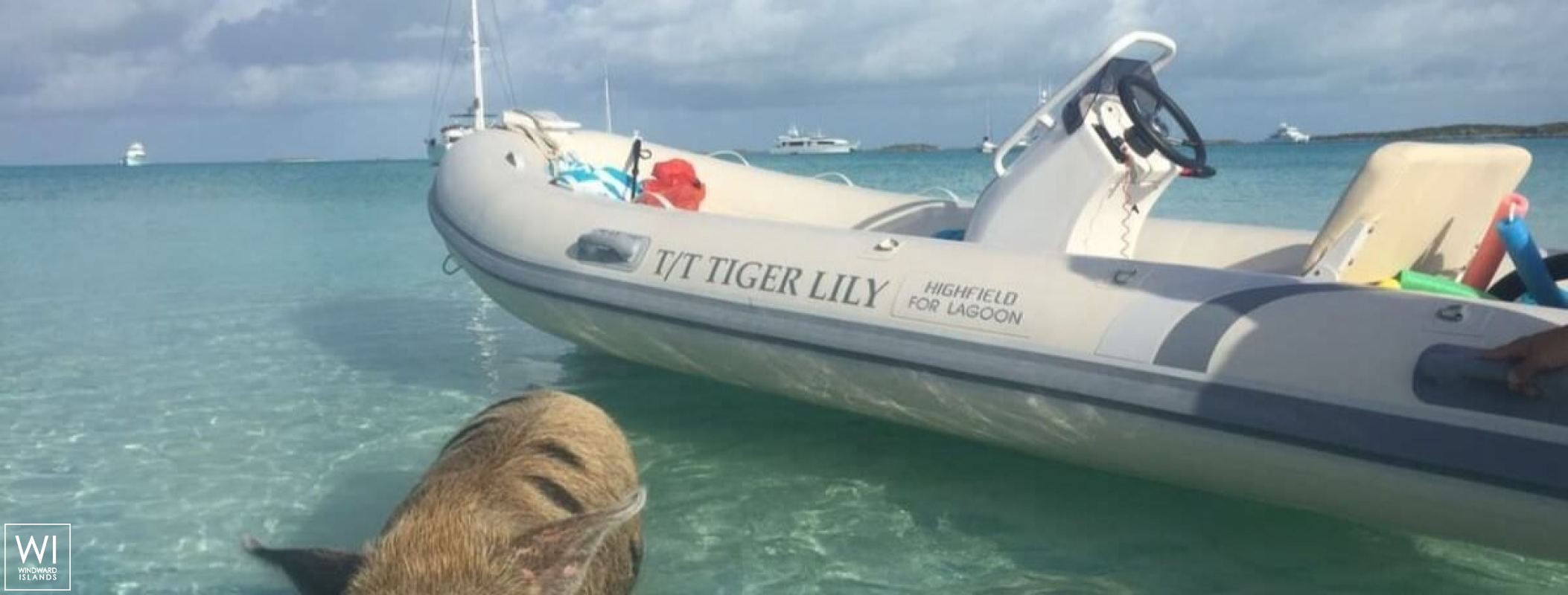 TIGER LILY   Lagoon Catamaran Lagoon 620 Exterior 6