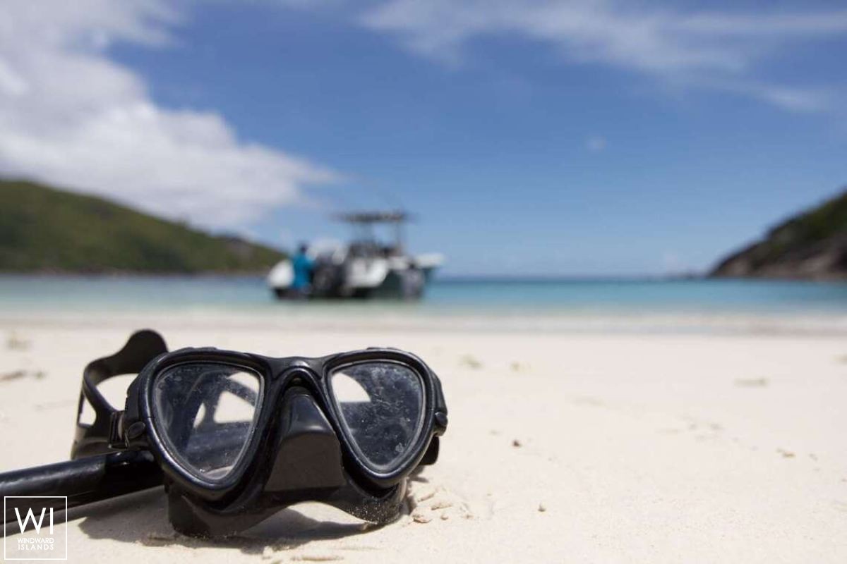 LONESTAR    Catamaran 85 Exterior 6