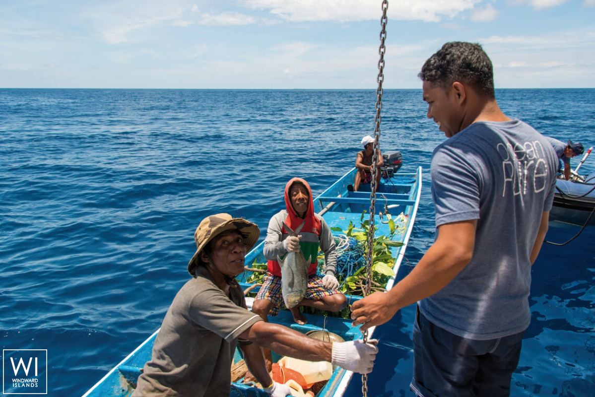 Ocean Pure 1   Ketch  46M Exterior 6