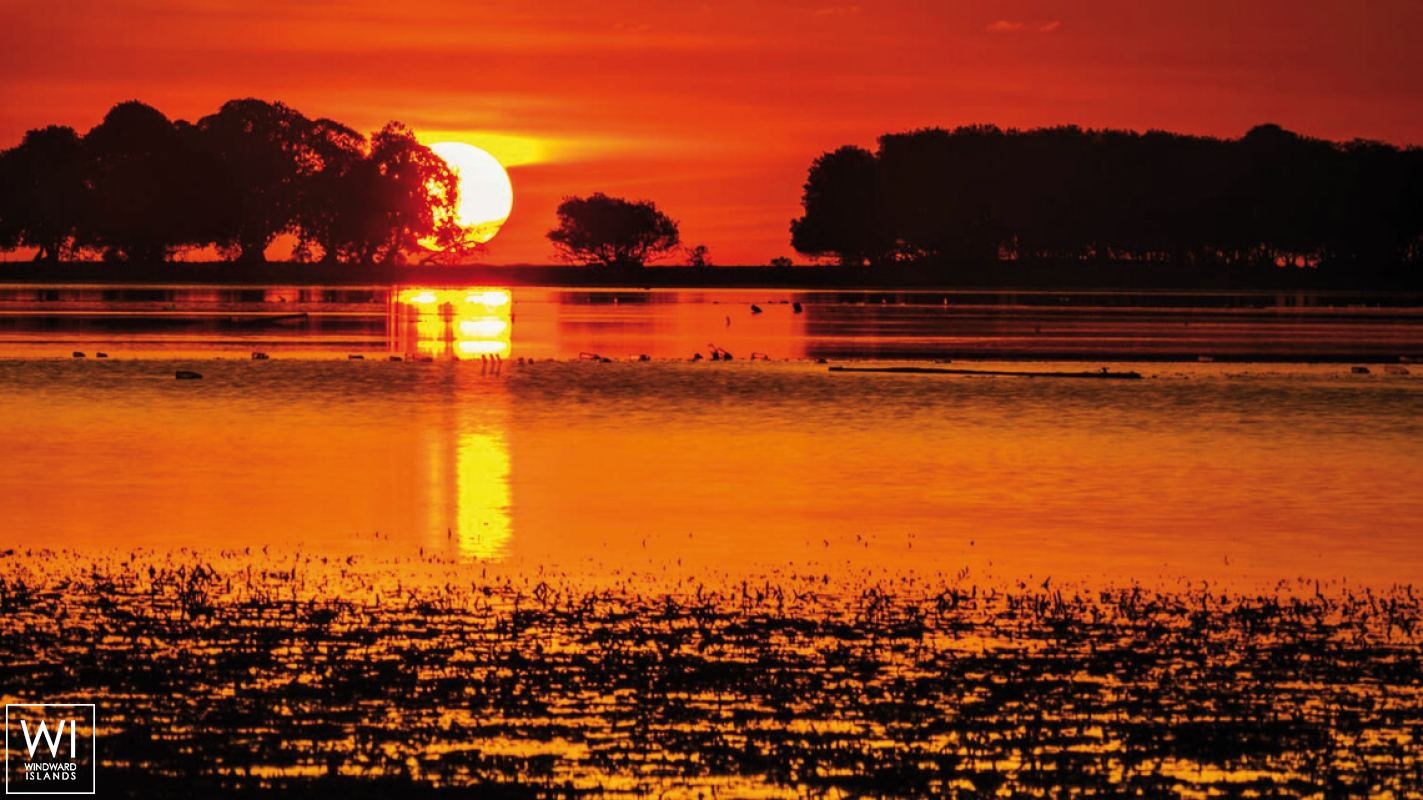 Ocean Pure 1   Ketch  46M Exterior 7