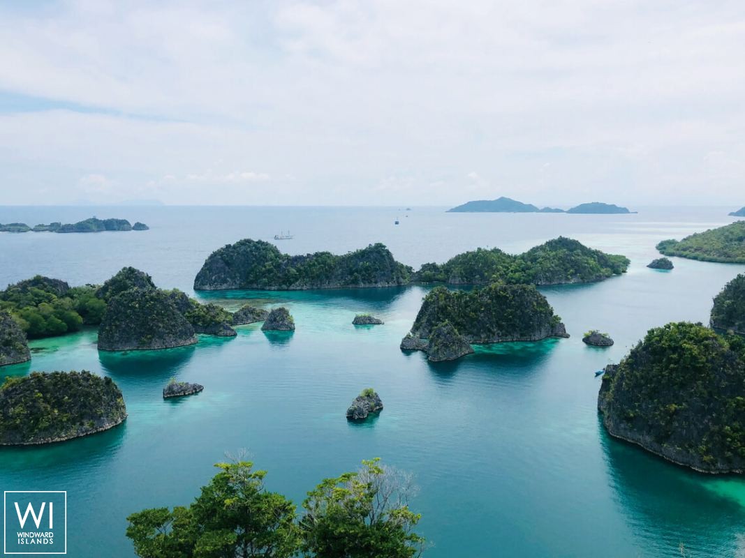 Ocean Pure 1   Ketch  46M Exterior 9
