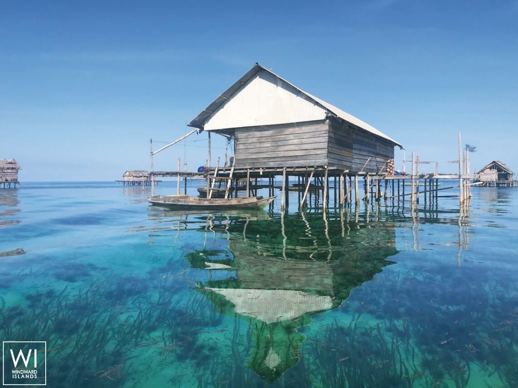 Ocean Pure 1   Ketch  46M Exterior 10