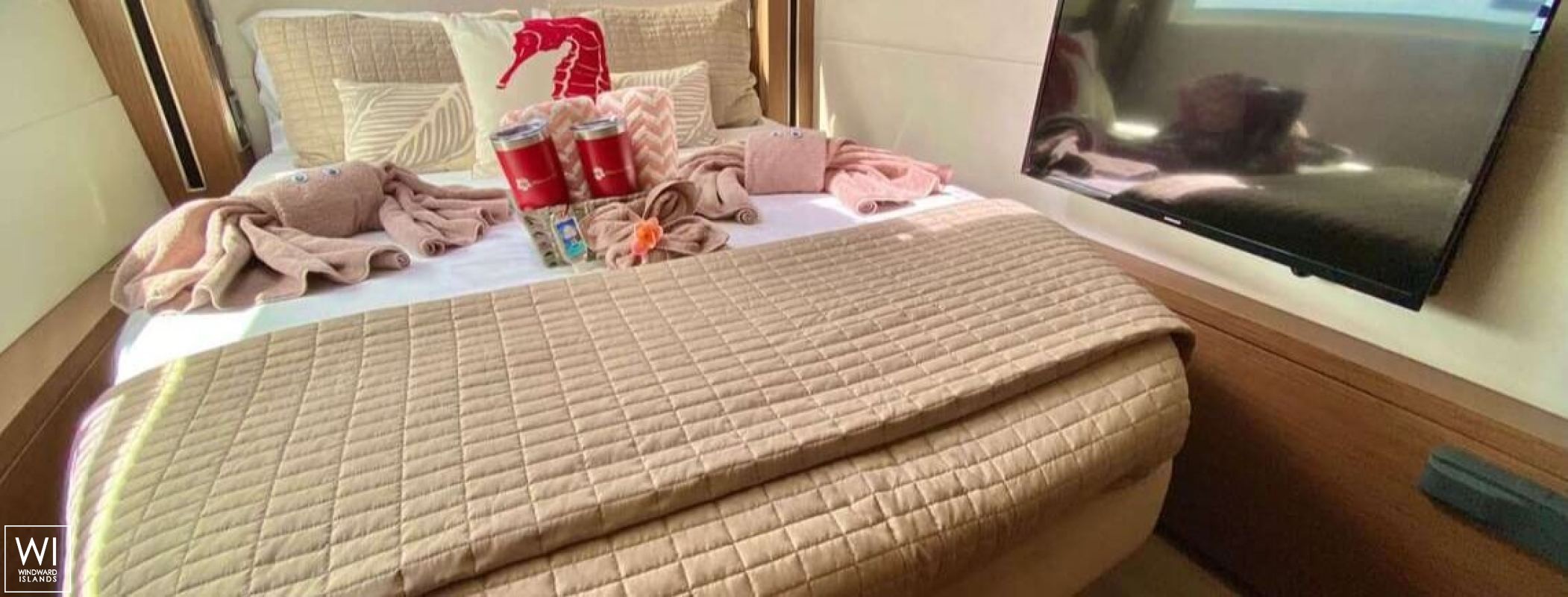 Delana Mae  Lagoon Catamaran Lagoon 50 Interior 1