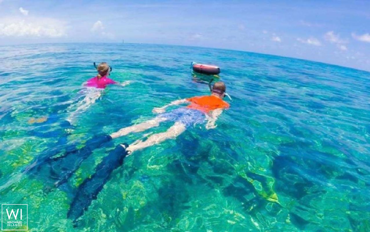 Purpus  Catana Catamaran Bali 4.1 Exterior 1