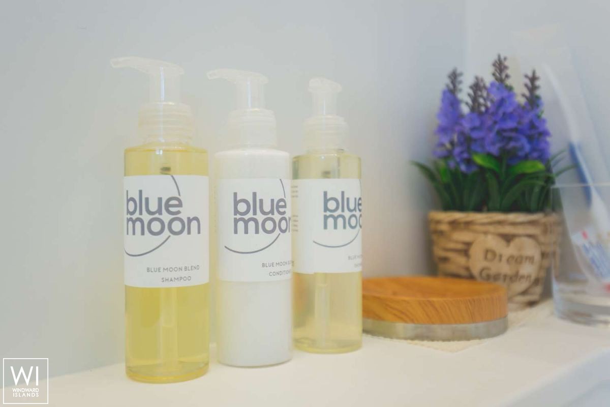 BLUE MOON  Lagoon Catamaran Lagoon 52 Interior 17