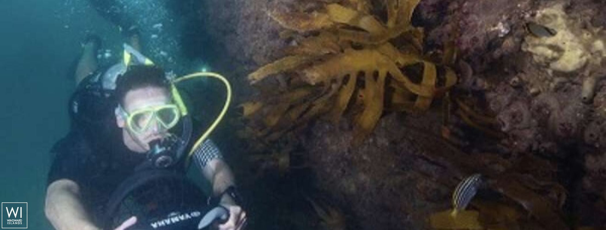 ISLAND HOPPIN'  Lagoon Catamaran Lagoon 52 Exterior 11