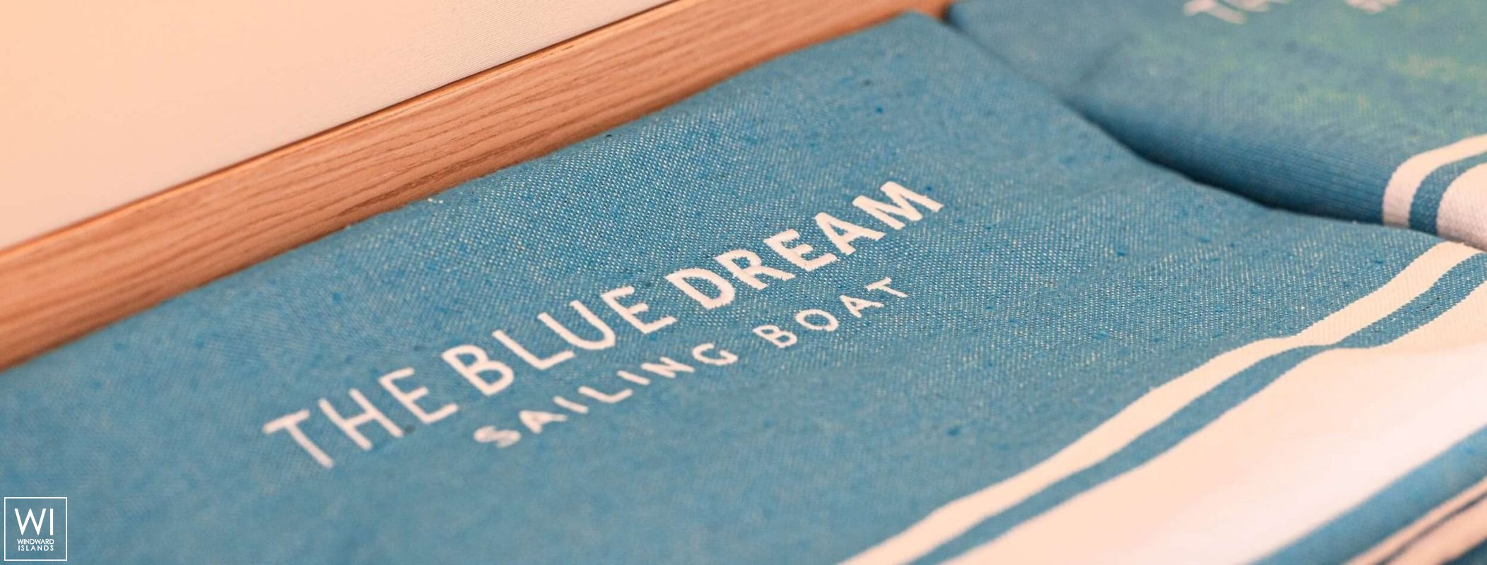 The Blue Dream  Fountaine Pajot Alegria 67 Interior 14