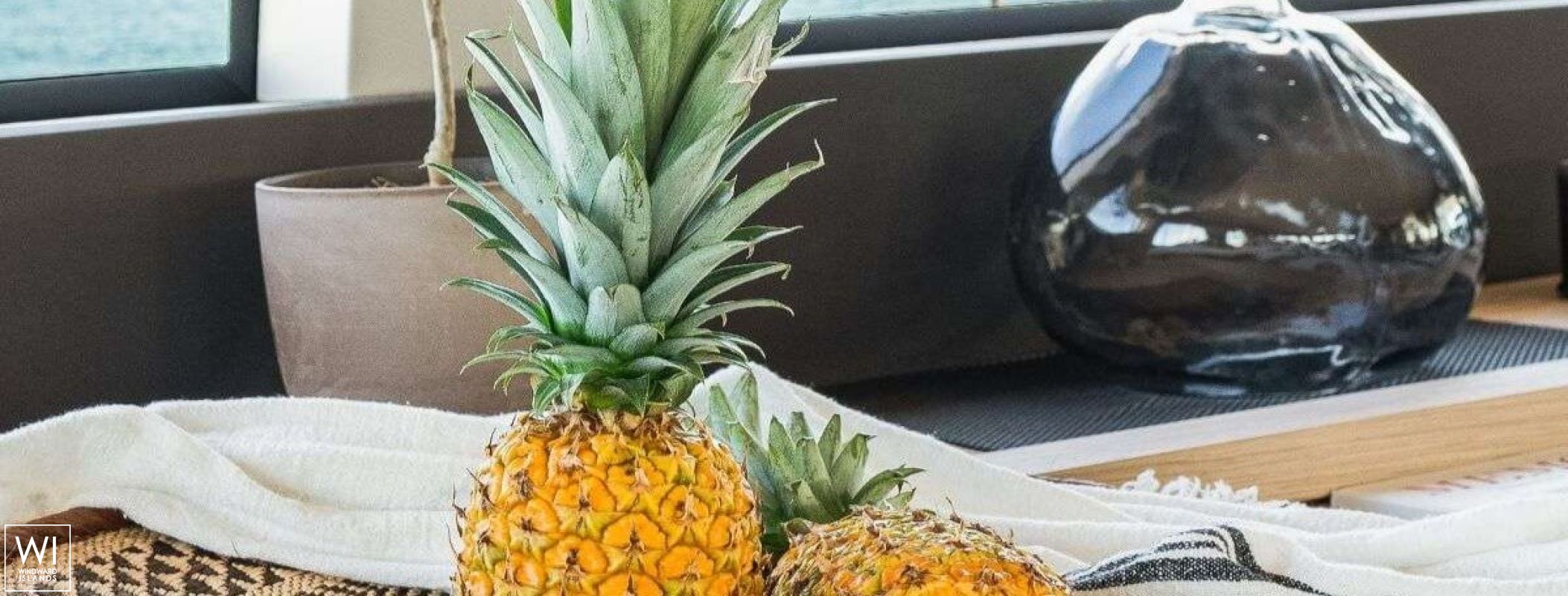 White Caps  Lagoon Catamaran Lagoon 65 Exterior 6