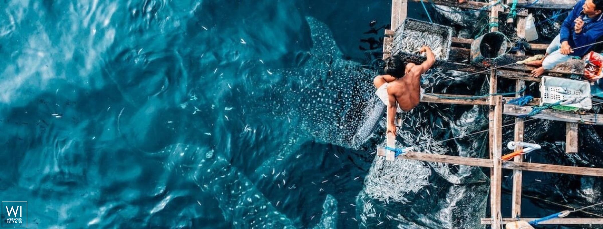 KUDANIL    Motoryacht 50M Exterior 9