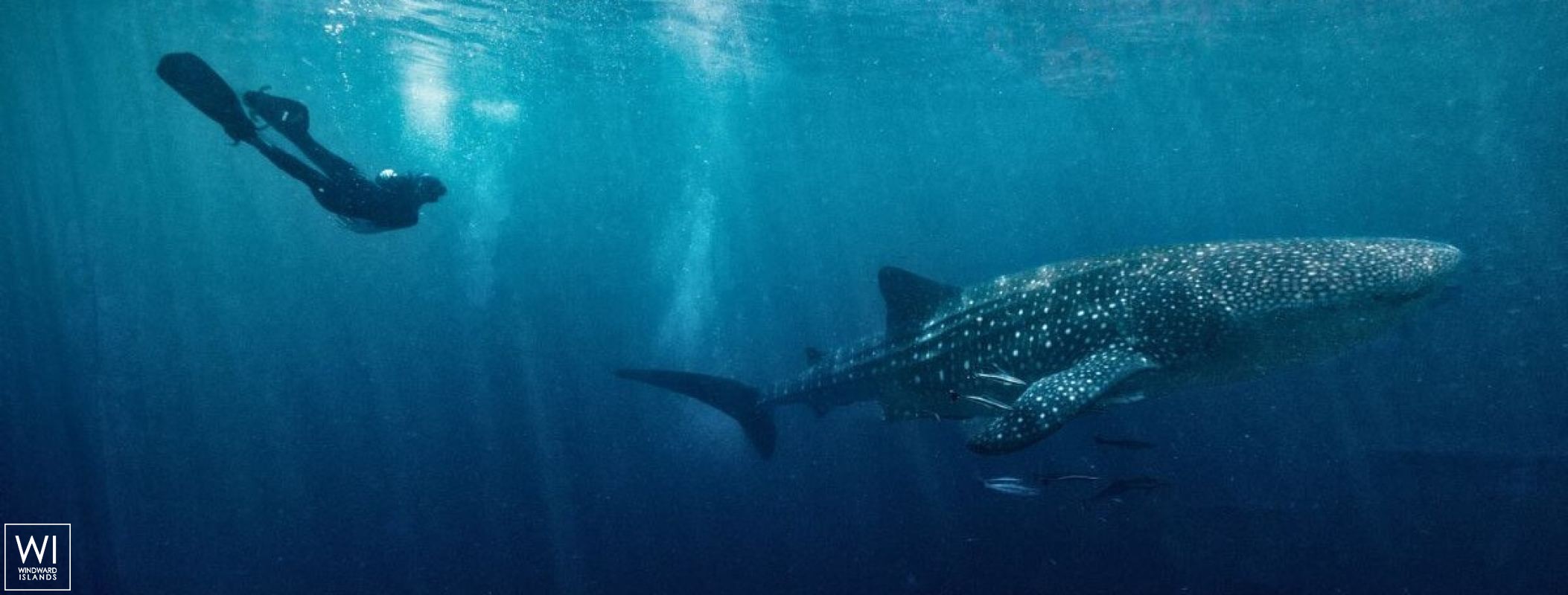 KUDANIL    Motoryacht 50M Exterior 4