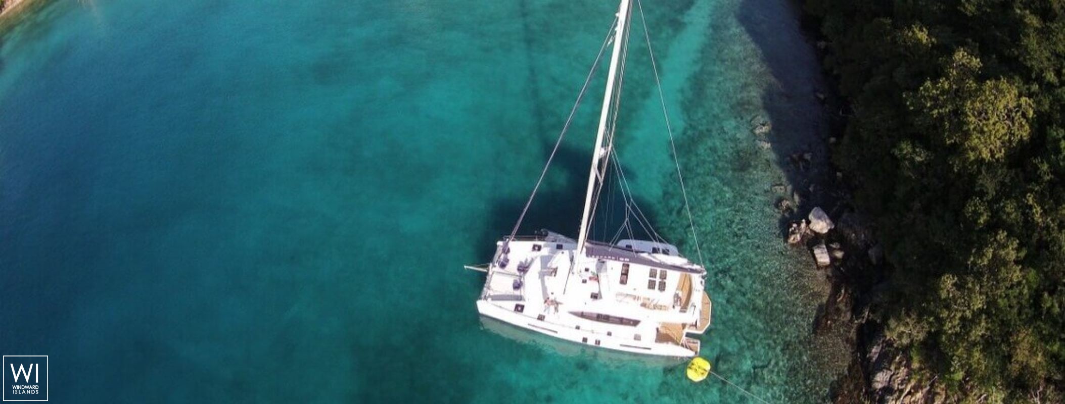 SOMETHING WONDERFUL  Robertson & Caines Leopard  5800 Exterior 1