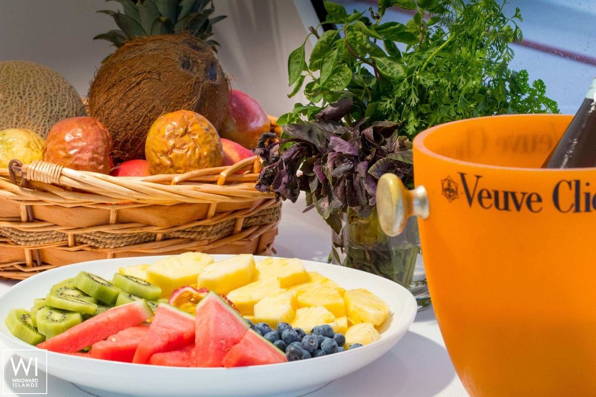 VIENNA  Fountaine Pajot Aura 51 Exterior 11