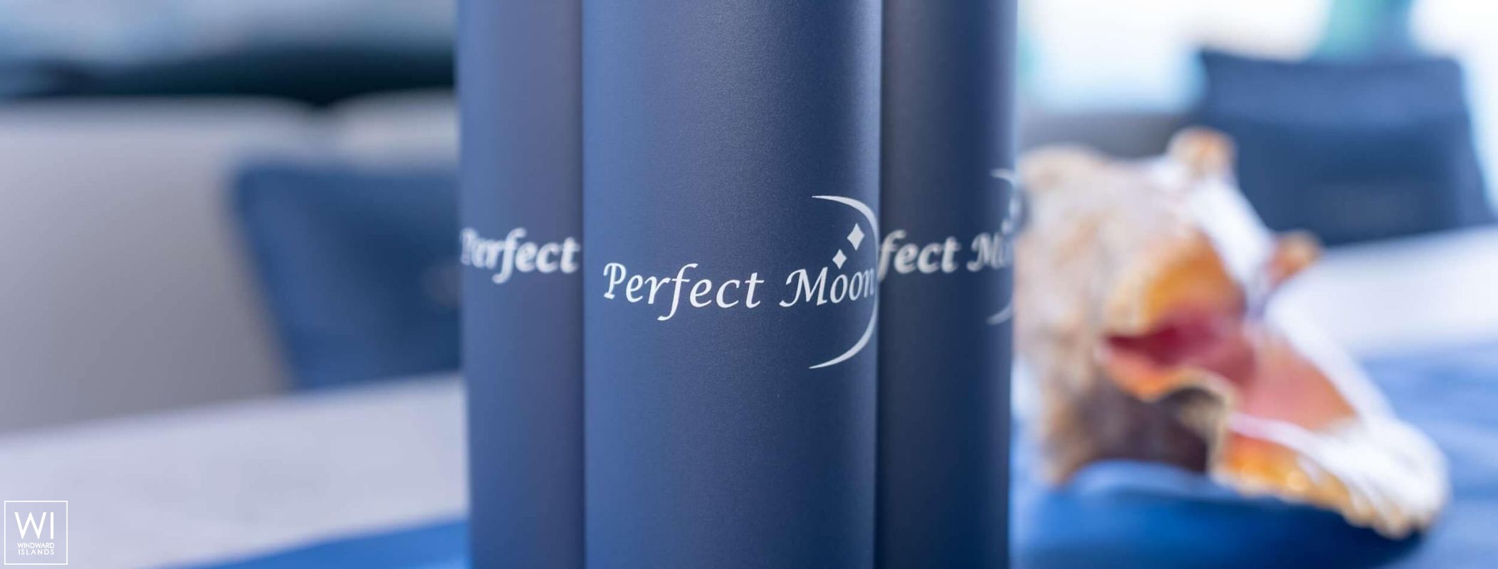 Perfect Moon  Moon Yachts Catamaran 6TY Interior 15