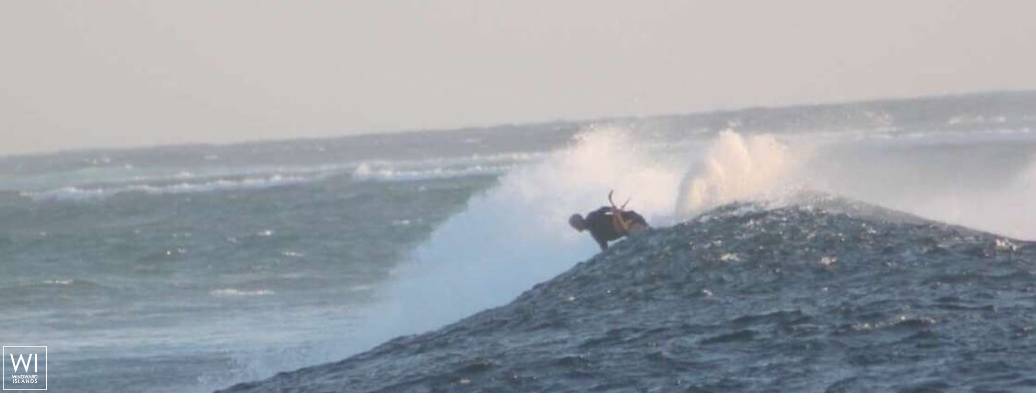 Liquid Coconut  Robertson & Caines Leopard  45 Exterior 6