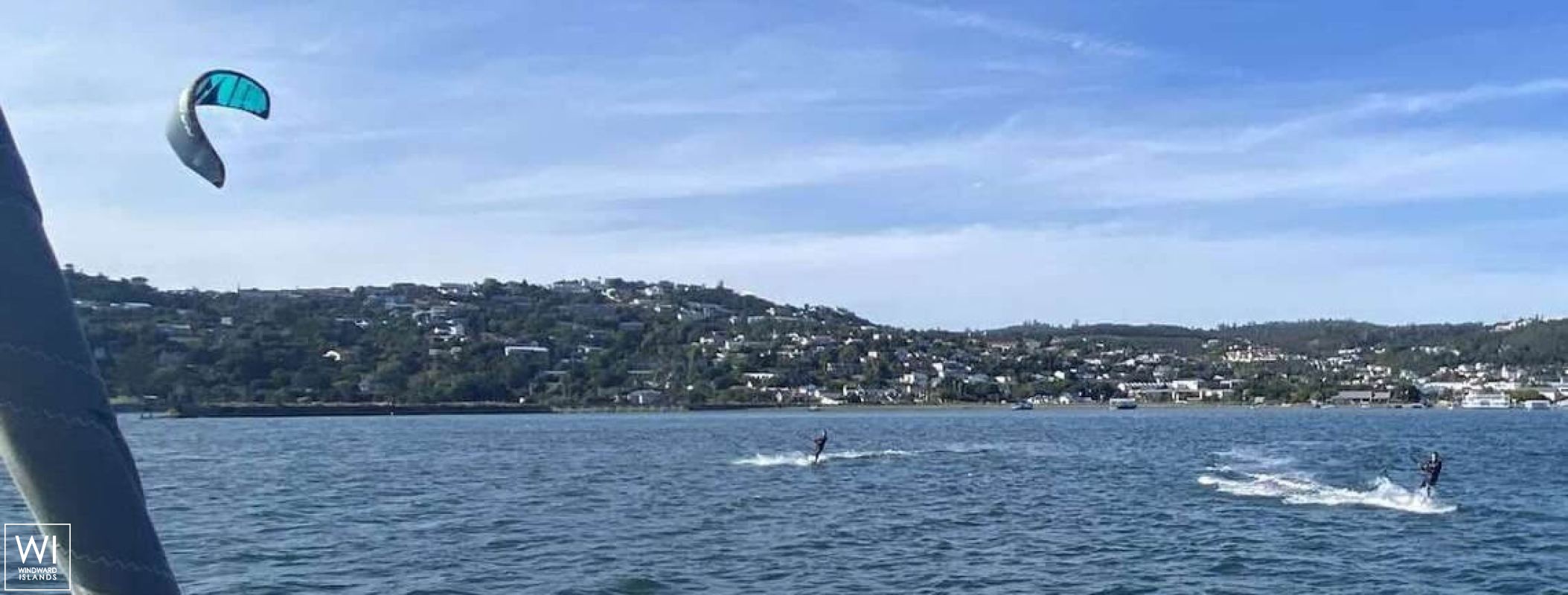 Liquid Coconut  Robertson & Caines Leopard  45 Exterior 7