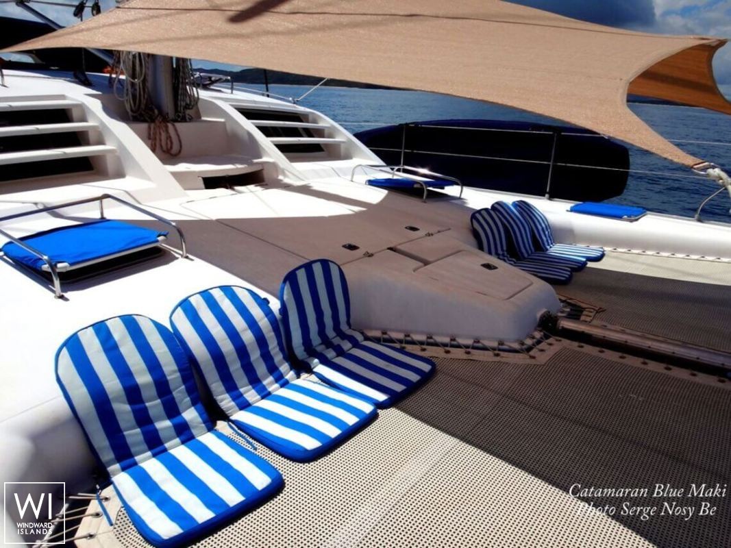 BLUE MAKI  Robertson & Caines Leopard  47 Interior 1