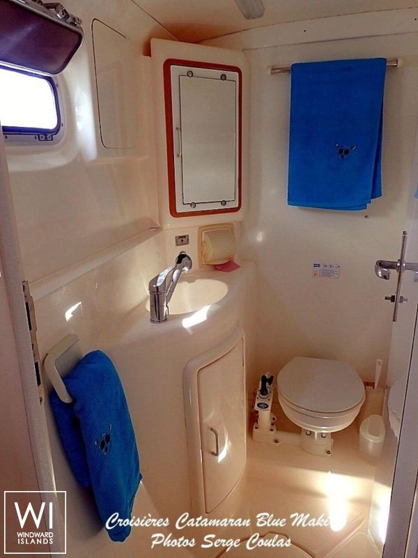 BLUE MAKI  Robertson & Caines Leopard  47 Interior 1