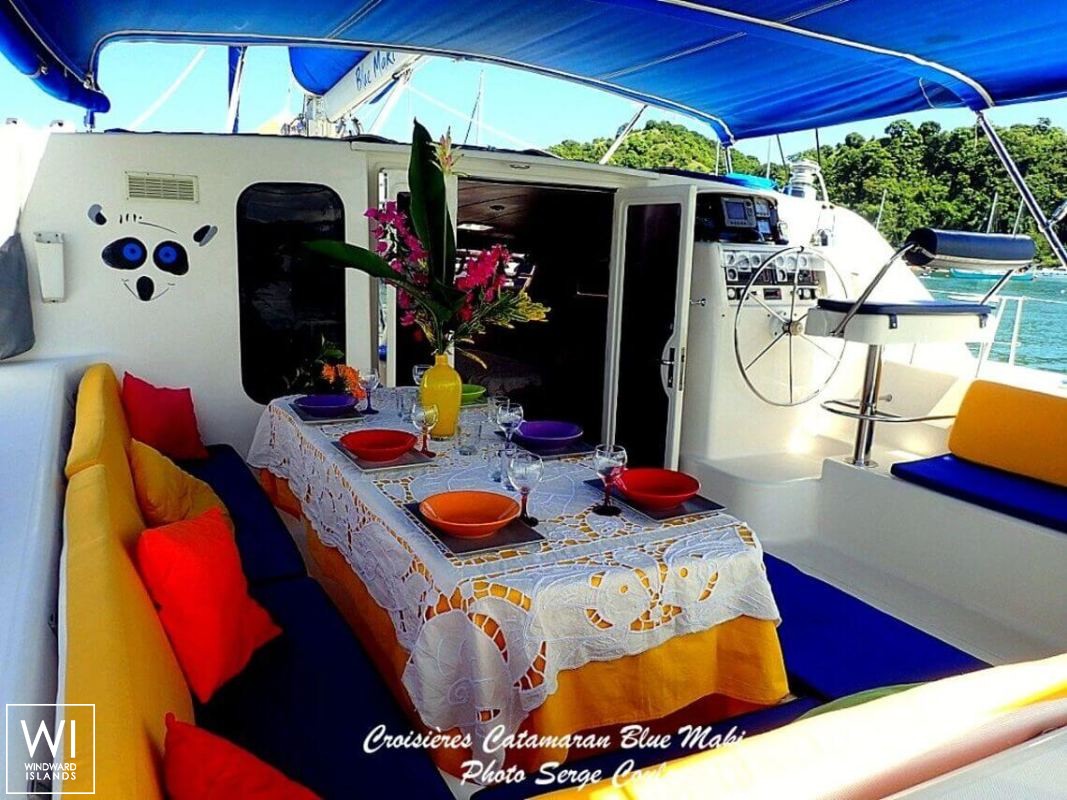 BLUE MAKI  Robertson & Caines Leopard  47 Interior 1