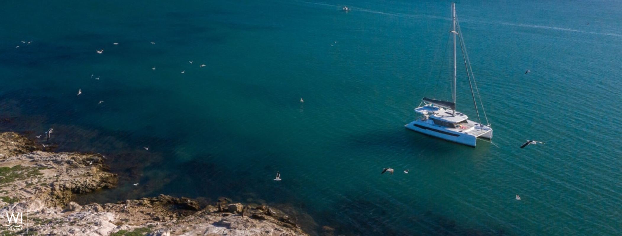 Leopard  42 Robertson & Caines Exterior 12