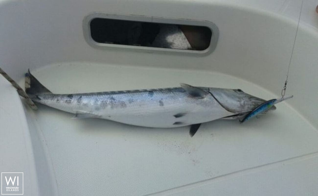 NIKITA  Fountaine Pajot Bahia 46 Interior 11