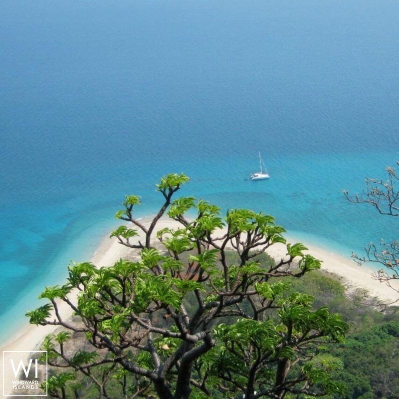 Sweetest Taboo  Lagoon Catamaran Lagoon 470 Exterior 4