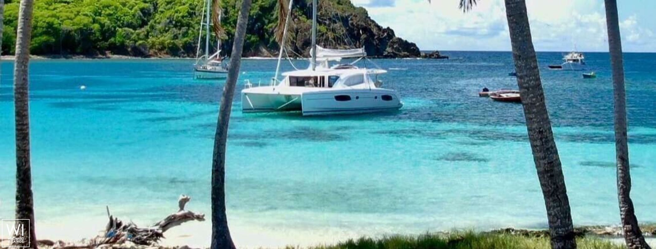 Groovy  Robertson & Caines Leopard  444 Exterior 3