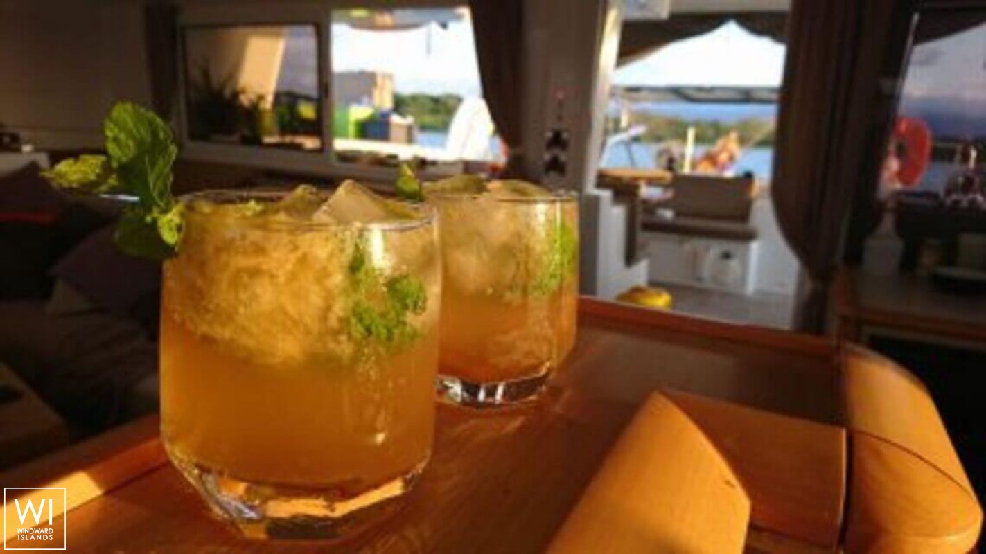 VIP ONE  Lagoon Catamaran Lagoon 500 Interior 16