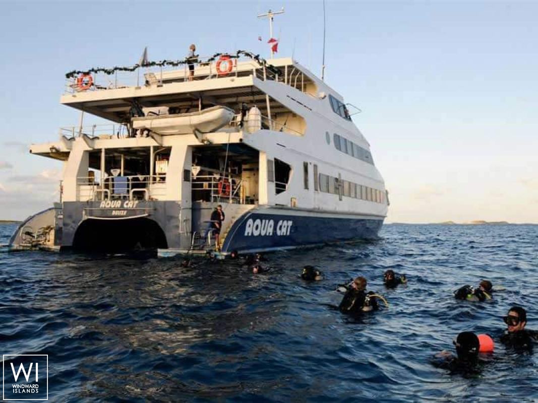 Aqua Cat   Power Cat 31M Exterior 2