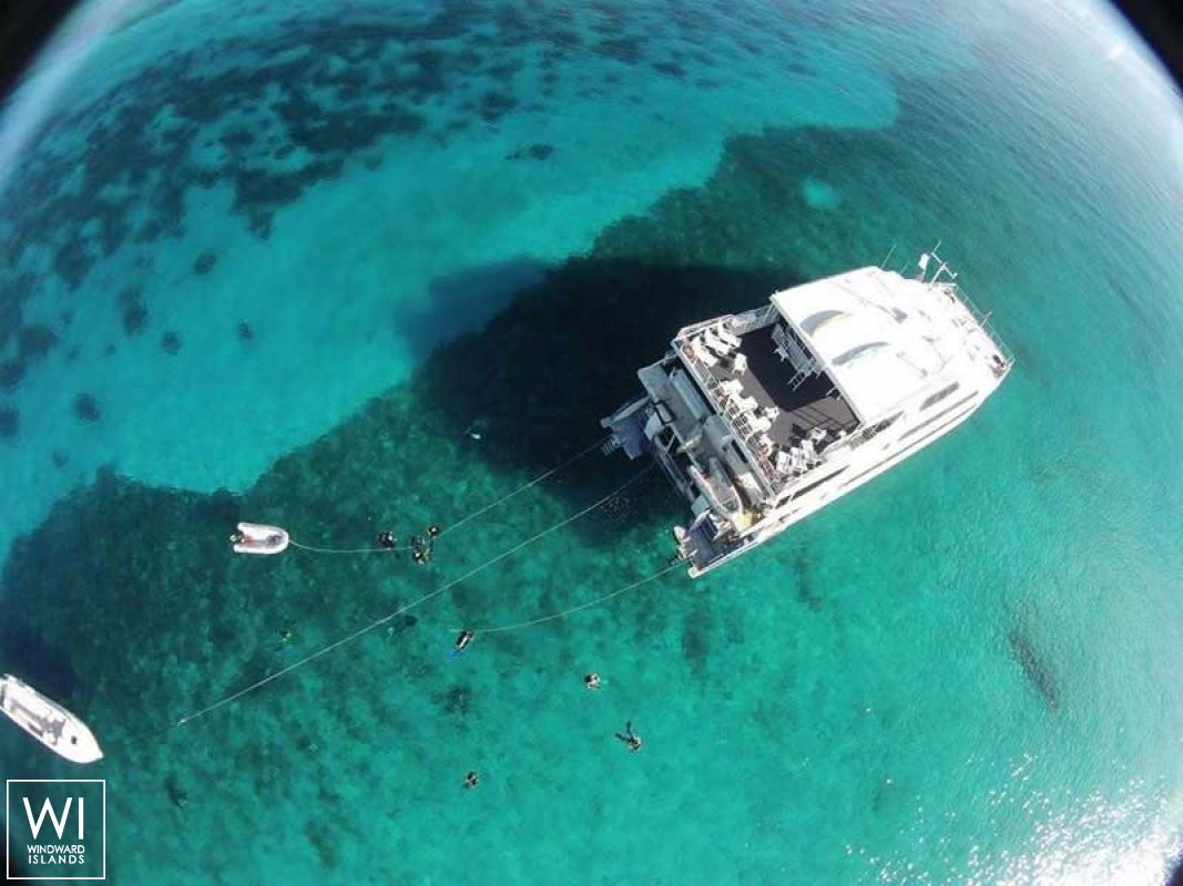 Aqua Cat   Power Cat 31M Exterior 3