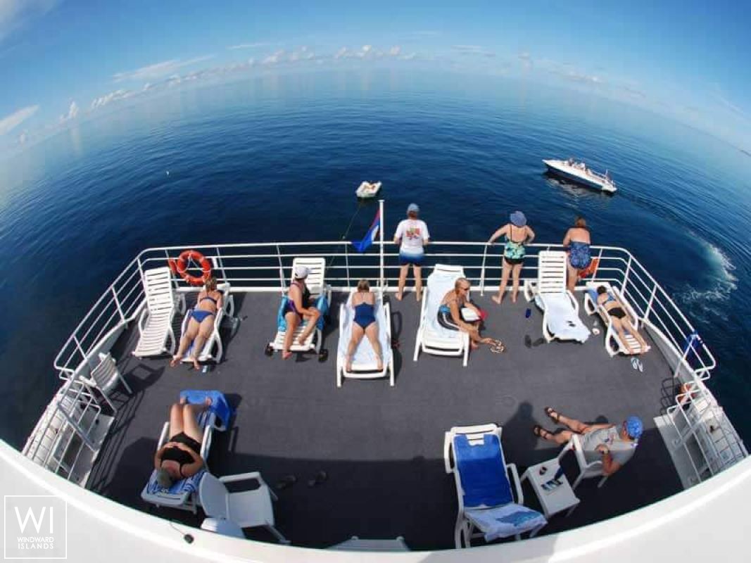 Aqua Cat   Power Cat 31M Interior 6