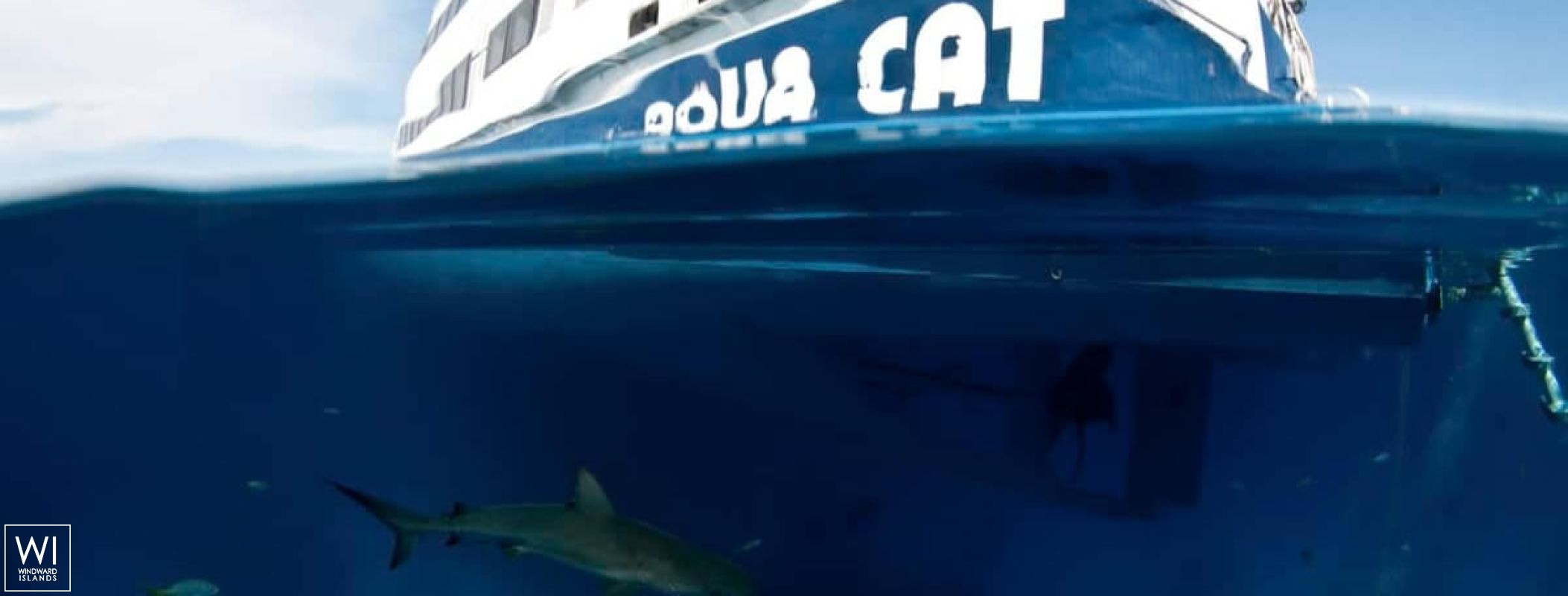 Aqua Cat   Power Cat 31M Exterior 7