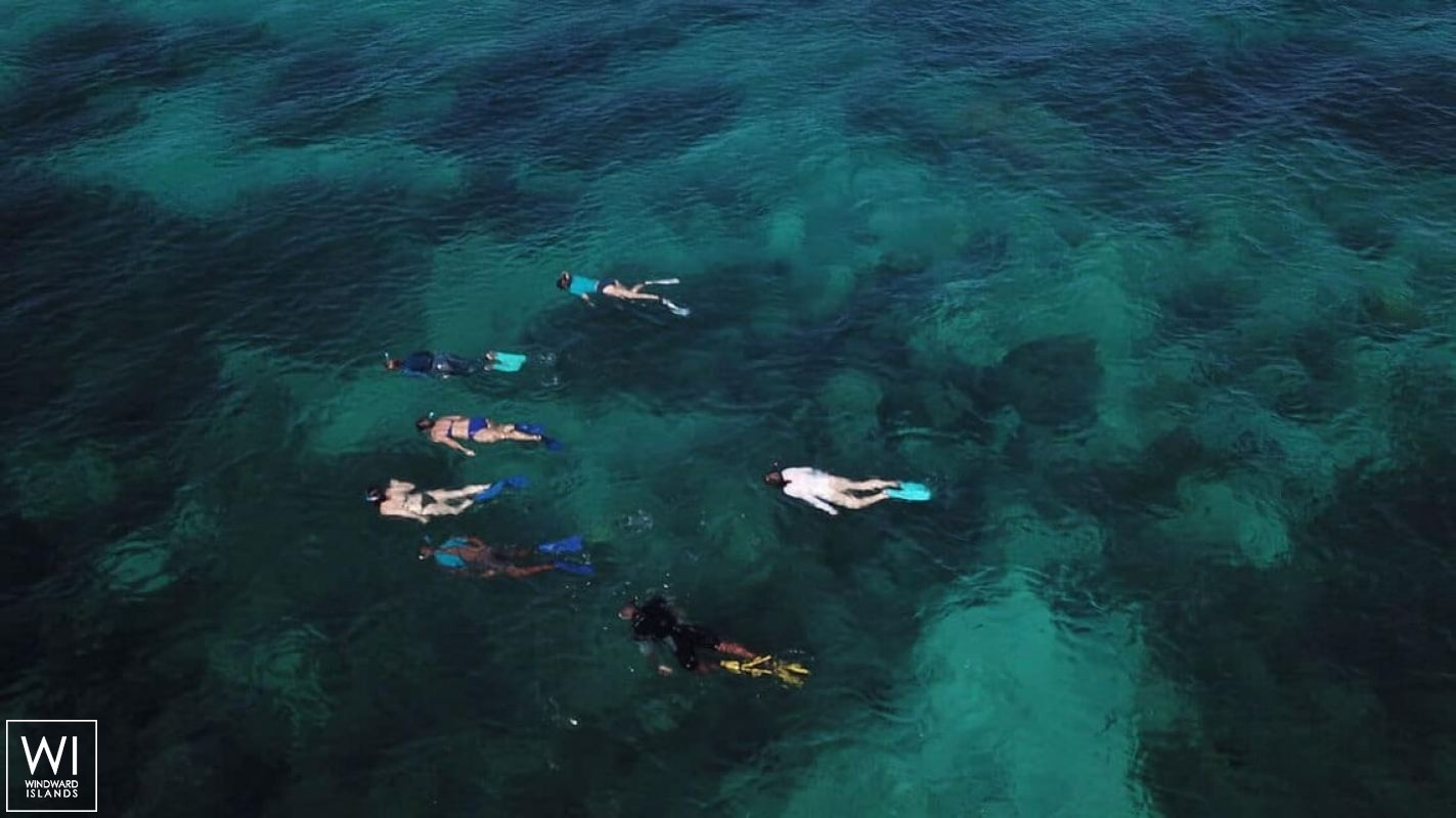 Sèsame   Trimaran 52 Exterior 6