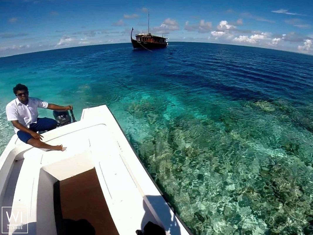 DHONI STELLA   Dhoni 23M Exterior 6