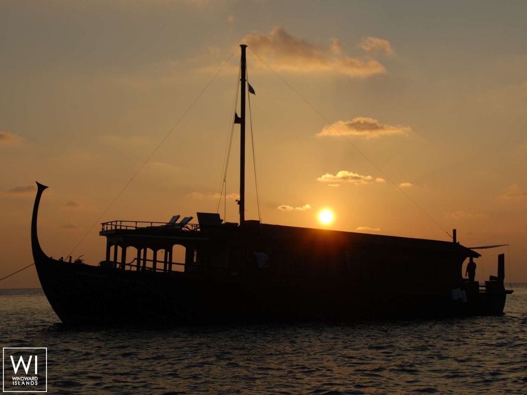 DHONI STELLA   Dhoni 23M Exterior 5