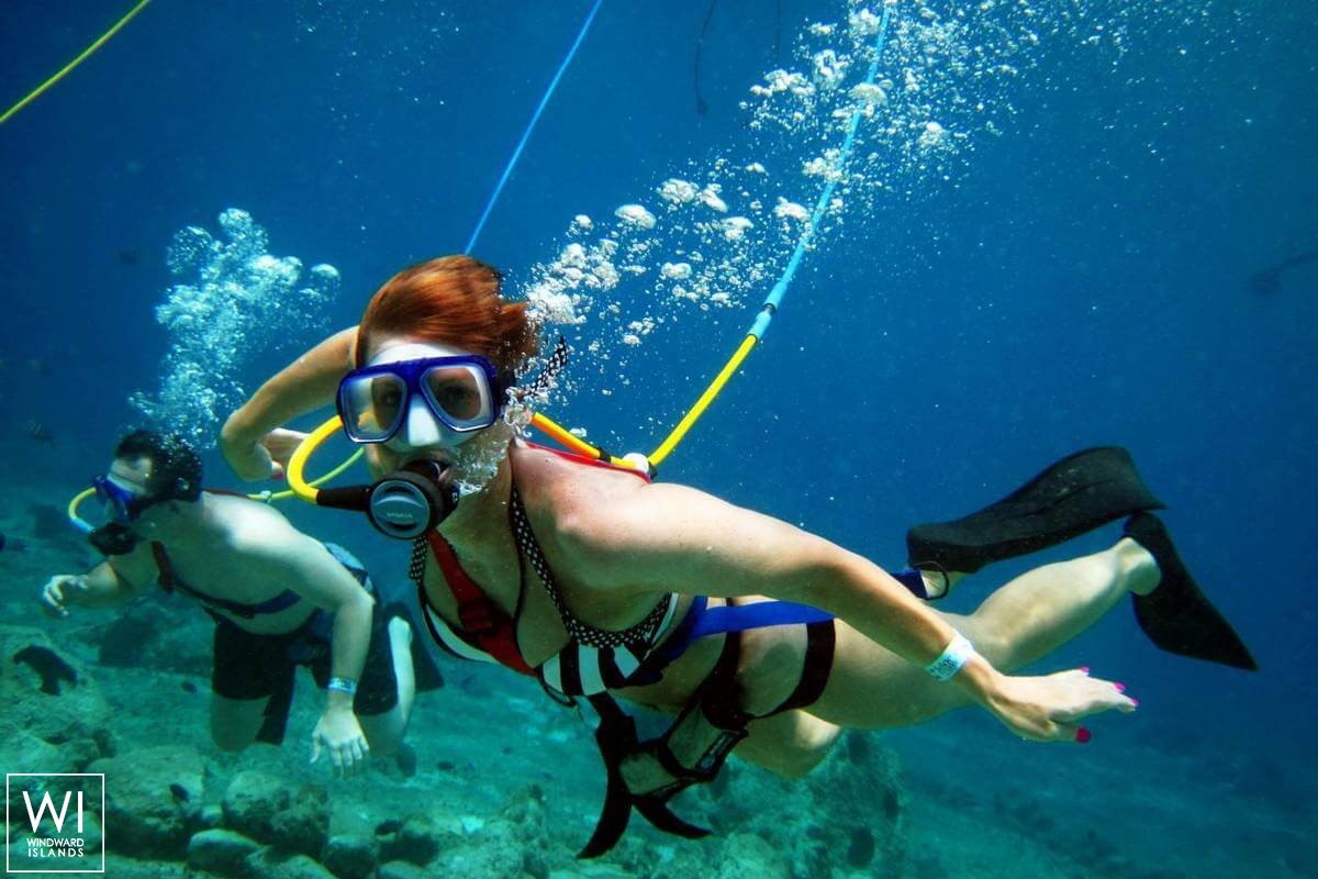 SHANGANI   Catamaran 70 Exterior 5