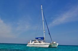 Knysna Catamaran Knysna 440 0