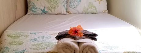 Robertson & Caines Leopard  4800 13