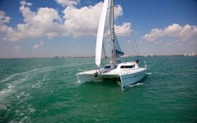 Knysna Catamaran Knysna 480 0