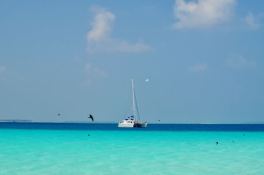 Knysna Catamaran Knysna 480 4