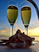 Knysna Catamaran Knysna 480 15