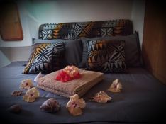 Knysna Catamaran Knysna 480 13