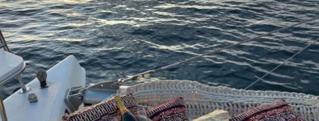 Knysna Catamaran Knysna 480 7