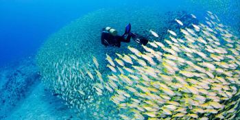 Custom Schooner SCS 35M 4