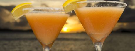 Matrix Catamaran Silhouette 76' 8