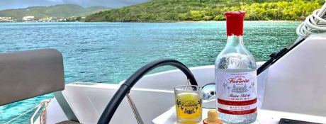 Nautitech Catamaran Nautitech 46 open 8