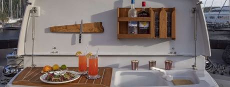 Privilege Catamaran  Privilege  Serie 7 3