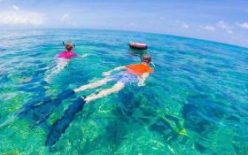 Catana Catamaran Bali 4.1 4