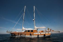 Turkish Gulet Goelette  26.7M 2