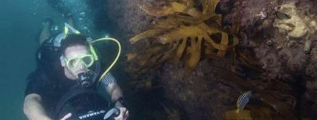 Lagoon Catamaran Lagoon 52 10